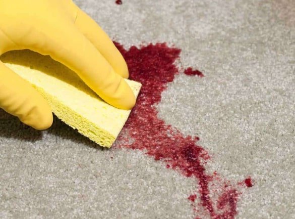 Choose the best among the best at Carpet Cleaning